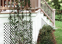 Veranda Plastic Lattice